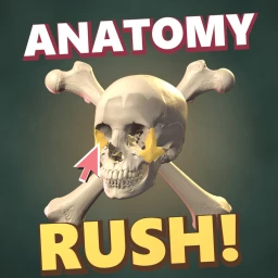 Anatomy Rush icon