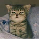 JimWl
