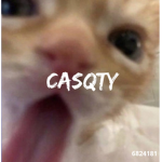 casqty