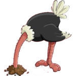 Remarkable Ostriches