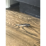 Fish on the floor