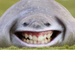 ʝυѕтgινємємσηєу