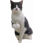 cat gang!!!!!!!!!!!!!!!!