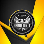 [The Streets} Sheriff Gang unit