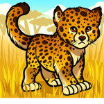 #Cheetah Club