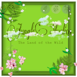JungleStudio