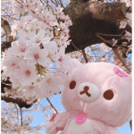 +Cherry bears+