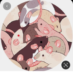 Rat squad official !
