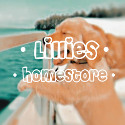 Lillie's homestore + hangout!