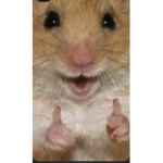 Four rats from ratatouille