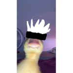 CSGOS