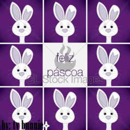 Bunni TSX