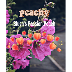 Blush’s Passion Peach's!