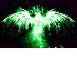 TOXIC UNITED