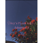 Acy's Pizza Army!