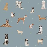 Dog group for dog owners