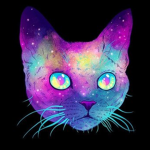 KittensLights