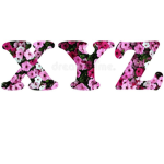 Xyz Brands