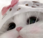 meuowie