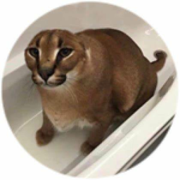 Floppa Obby