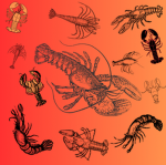 THE OFFICIAL LOBSTER