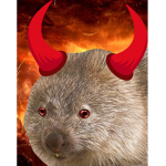 Devilish Wombats