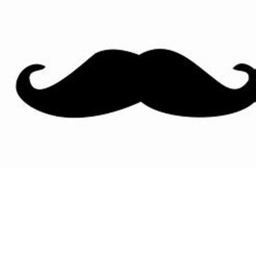 Mustache Hangout.........