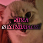 Kitten Entertainment :D