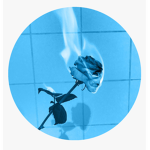 BluSquad