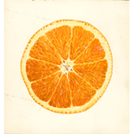 Orange Slices <3
