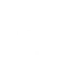 || The Dead South ||