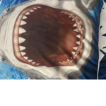Shark boy I like sharks does anyone else