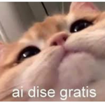 Hola morras