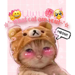 Meow a fan group for cat fans