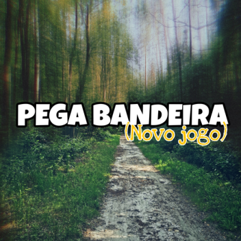 PEGA BANDEIRA (NOVO JOGO)