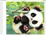 Panda Royalty
