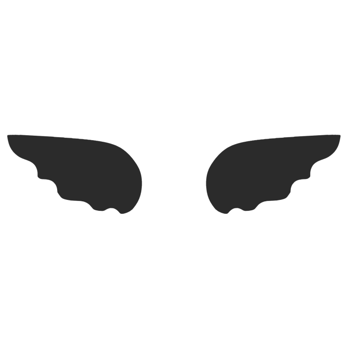 ♡ Cute Simple Sticker Angel Wings in Black