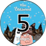Obtained 5 Badges