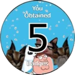 Obtained 5 Badges