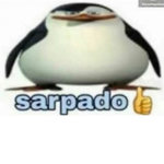 FANs del que pro