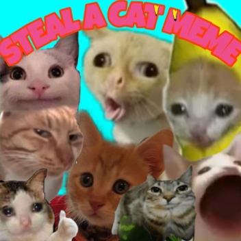 steal a cat meme 