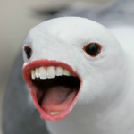 TheBoisGotMe