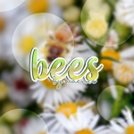 bees :>