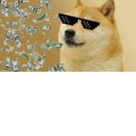 Doggo's dog group