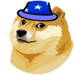 Wizard Doge