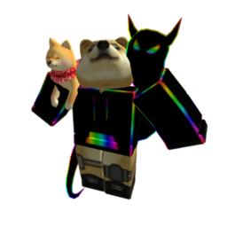 Doge Election
