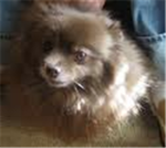 Bruno Fan Club Group Thumbnail
