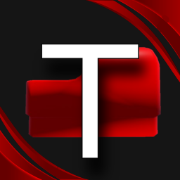 T: fighting game