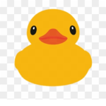 The True Duck Gang