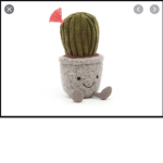 Cactus clown